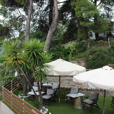 Pine Trees 3*