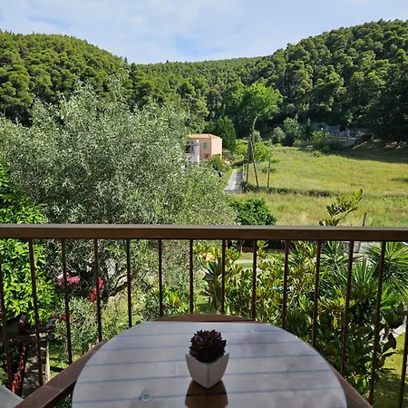 The Pine Trees Agnontas