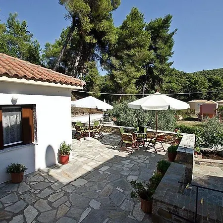 The Pine Trees 3* Agnontas