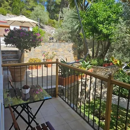 The Pine Trees 3*