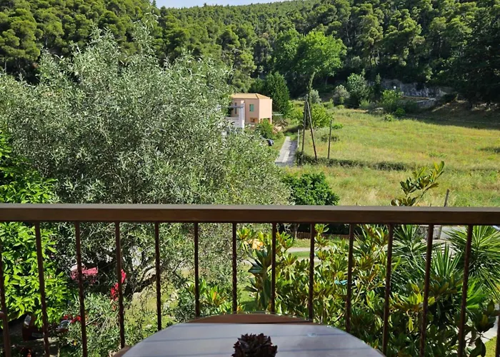 The Pine Trees Agnontas