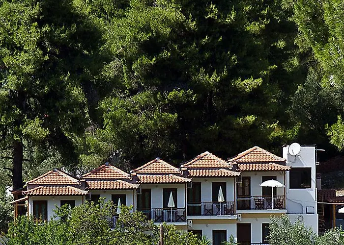 The Pine Trees Agnontas